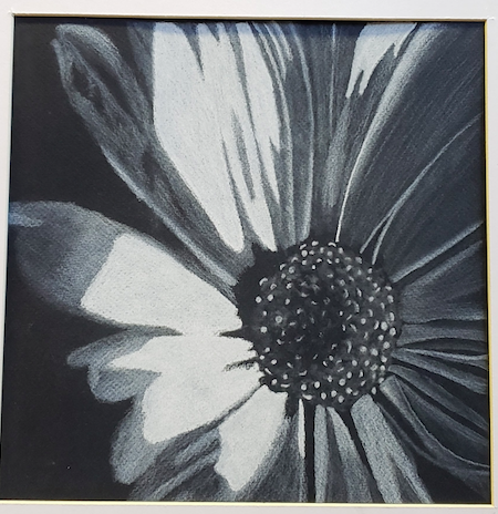 Screen Shot 2022-11-07 at 3.37.09 PM